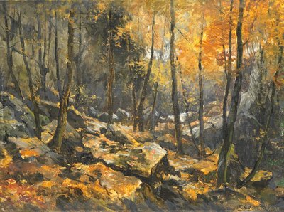Rocky Sea by Egbert Schaap